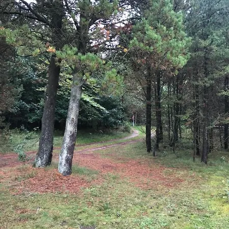 Sommerhus Stensnaes Saeby (Nordjylland)