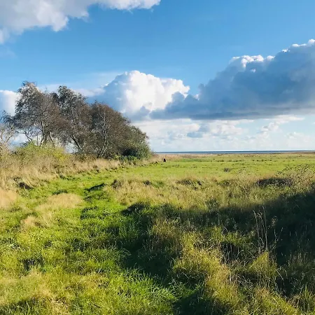 Sommerhus Stensnaes Saeby (Nordjylland)